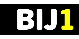 BIJ1 logo